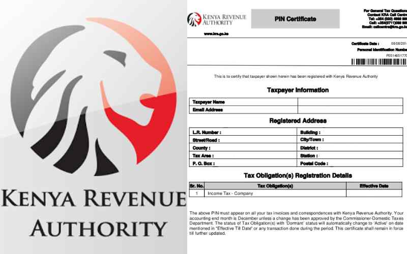 How-To-Apply-For-KRA-PIN-Online-2
